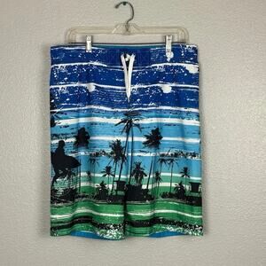 Mosimo 2010s Striped Palm Tree Blue White Green Boys Size XL Boy’s Swimtrunks